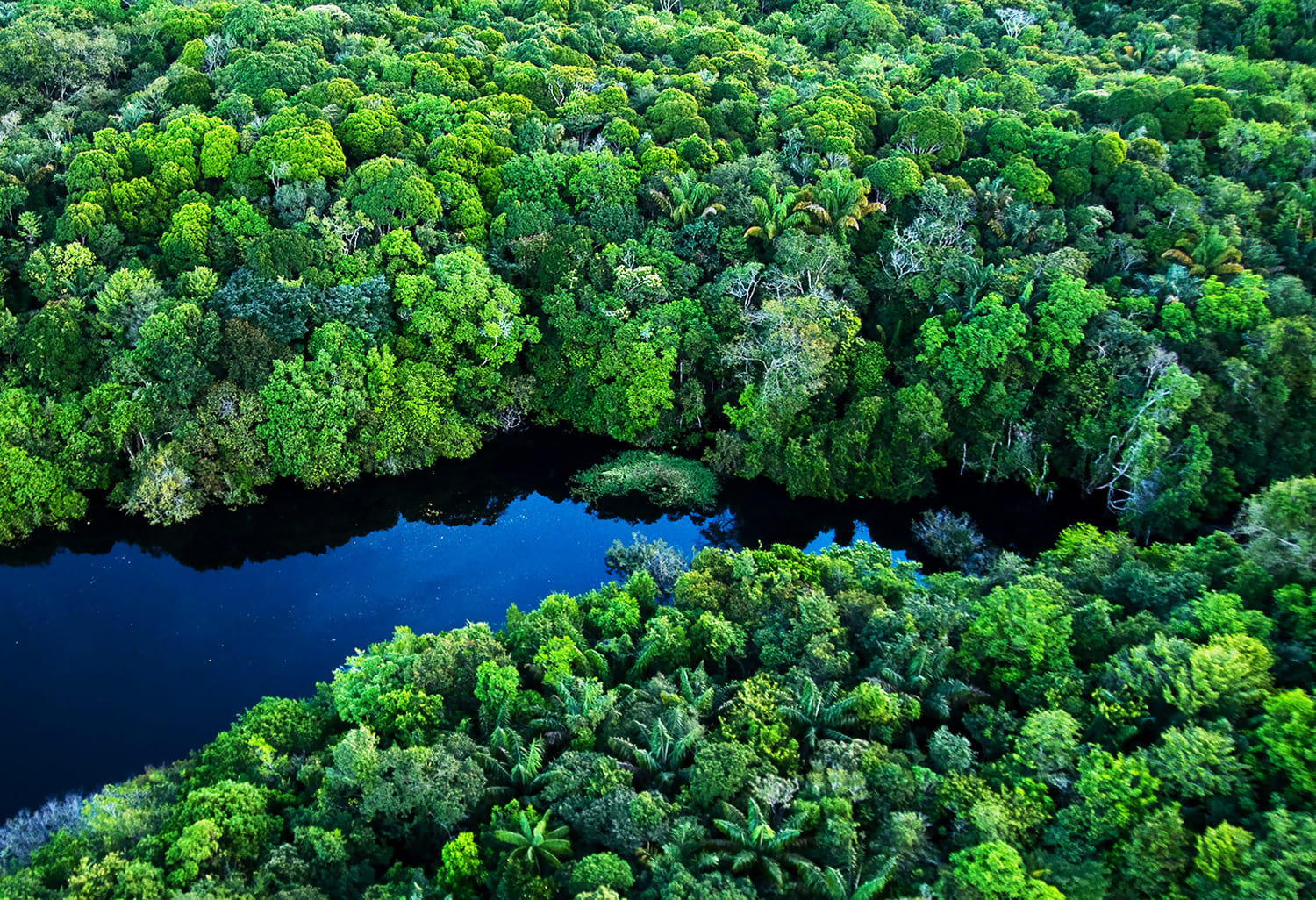 Pawang Hujan Area Dabo Singkep, Lingga dan Sekitarnya